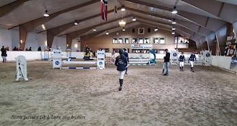 D-stevne Arendal og Grimstad Rideklubb 6-8. oktober 2017